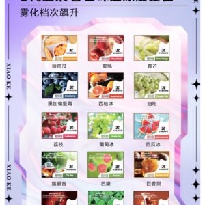 XIAOKE 可替換式電子煙 (兼容 RELX6代) (選購款)